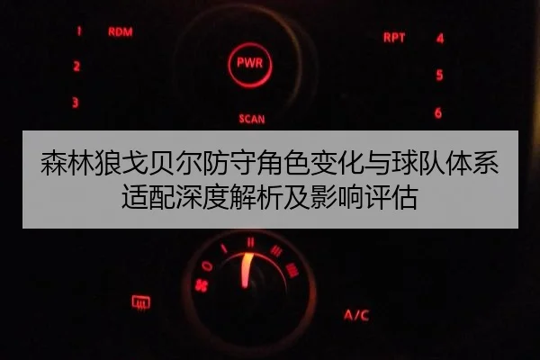 森林狼戈贝尔防守角色变化与球队体系适配深度解析及影响评估